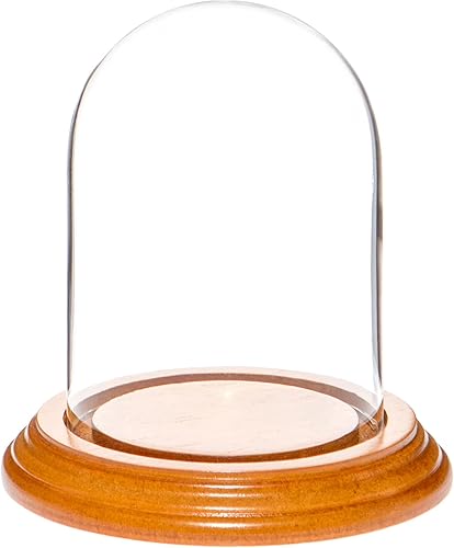 Miniatura 9 de Plymor campana protectora de cristal para exhibición, de 3 x 4 pulgadas, abovedada