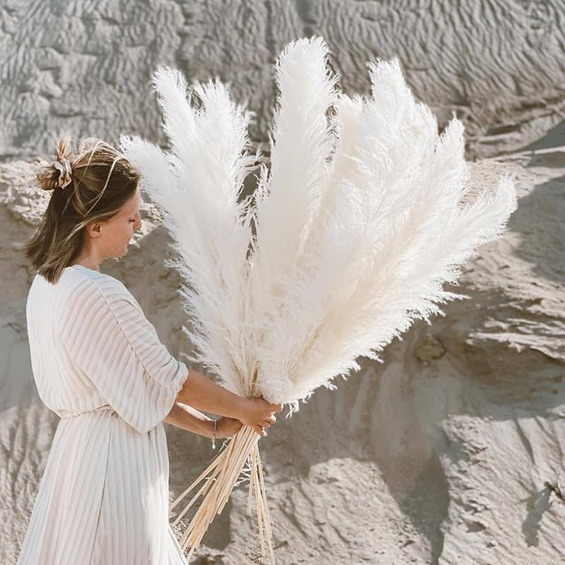 Pampas Grass pack de 10 piezas decorativas natural miniatura 4