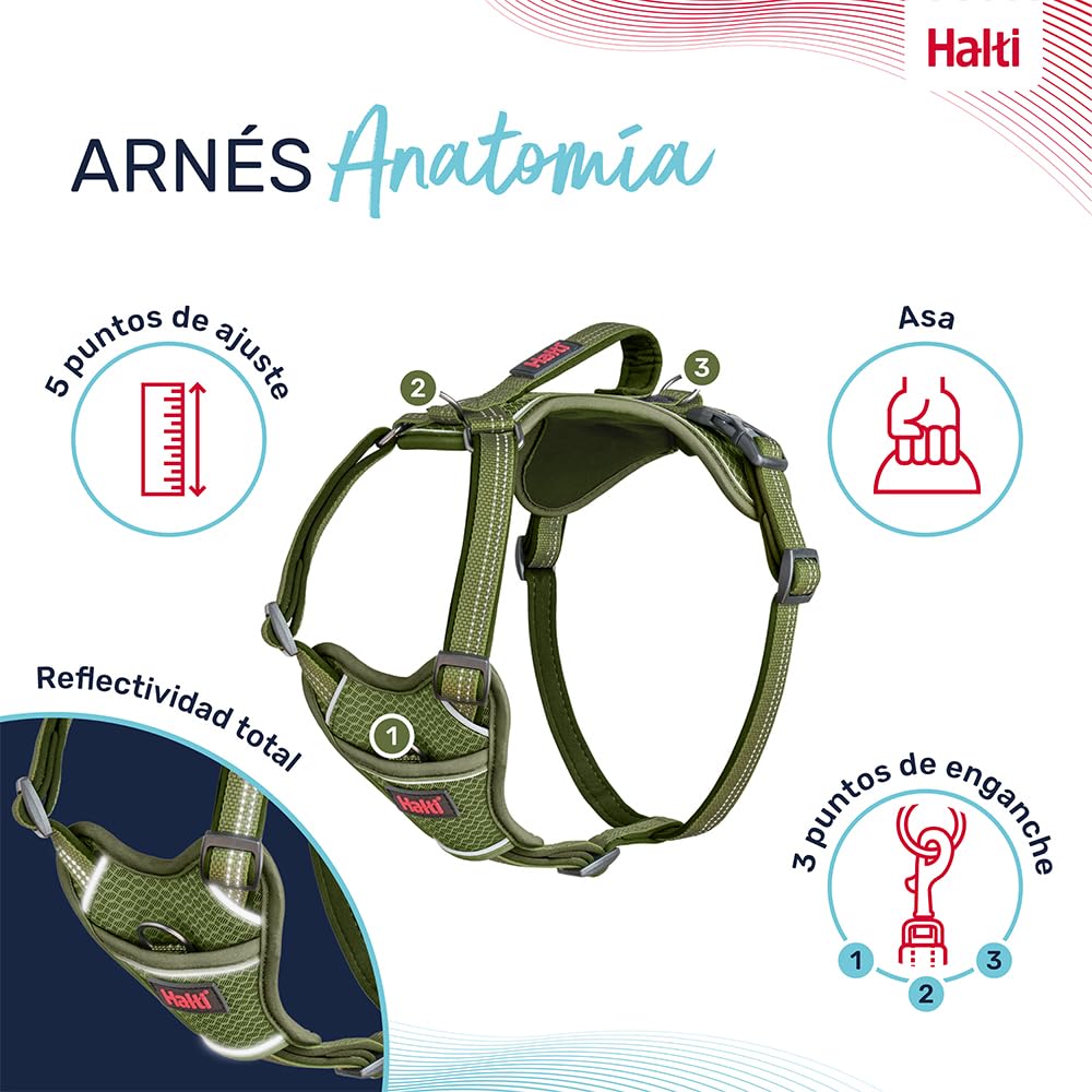 Arnés de Perro HALTI Anatomy con asa - Proporciona Libertad de Movimiento a tu Perro para Que pasee cómodamente. 3 Puntos de Enganche y Acolchado de Neopreno, Ajustable y Reflectante (Talla M, Verde) — view 3