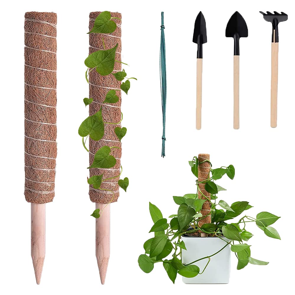 FOSLAP 2 PCS 16 Inches / 40 Cm Coir Totem Moss Pole for Monstera and Cheese Plants - Coco Coir Sticks for Indoor Climbing Plants Support with 10 Cable Ties and Mini Gardening Tools Set (2 PCs - 40 CM)