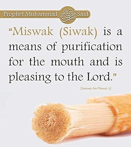 Miniatura 6 de AnNafi Siwak Miswak Stick Meswak Arak Peelu - Palo de masticar con sabor natural, cepillo orgánico sellado al vacío, cepillo de dientes de hierbas,