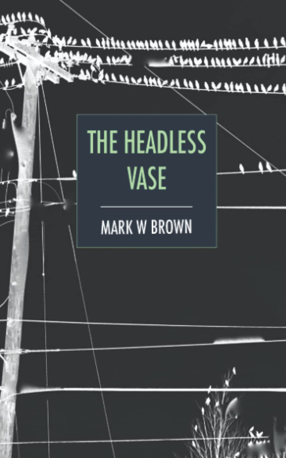 The Headless Vase