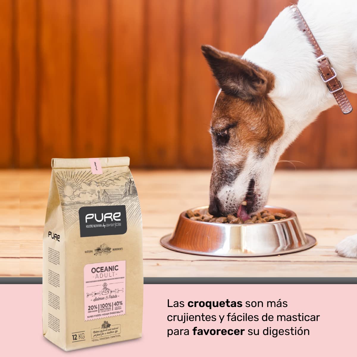 Pure Oceanic Adult Salmón y Patata 12 kg – Pienso Holístico con Carne Fresca para Perros Adultos – Estómago Sensible – Omega 3 y 6