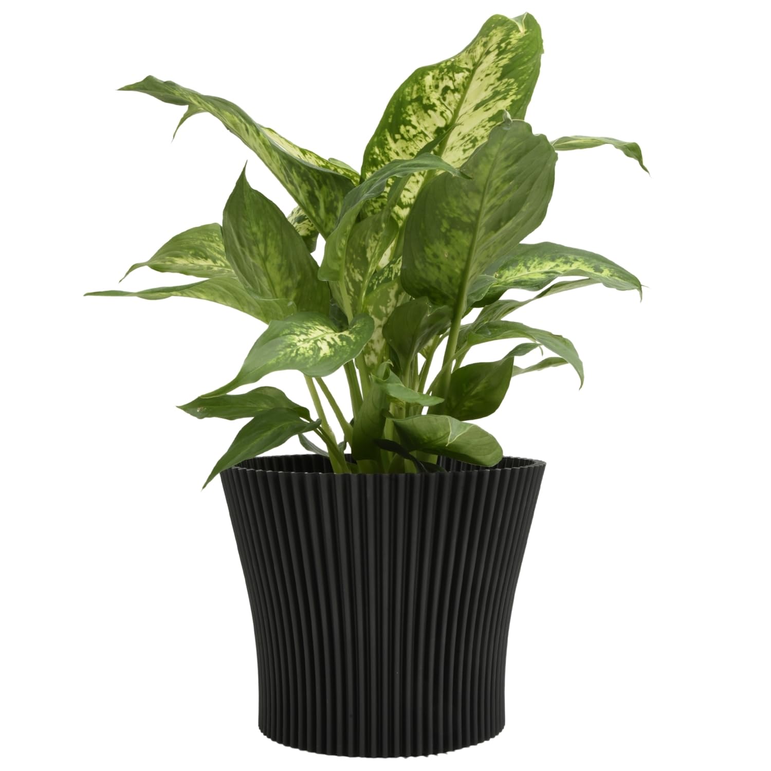 Matt Ribbed Flower Pot – Modern Flared Conical Planter with Pleated Design, Lightweight, Indoor/Outdoor Decorative Plant Pot – Multiple Sizes & Colors (Black Pearl, 17cm)
