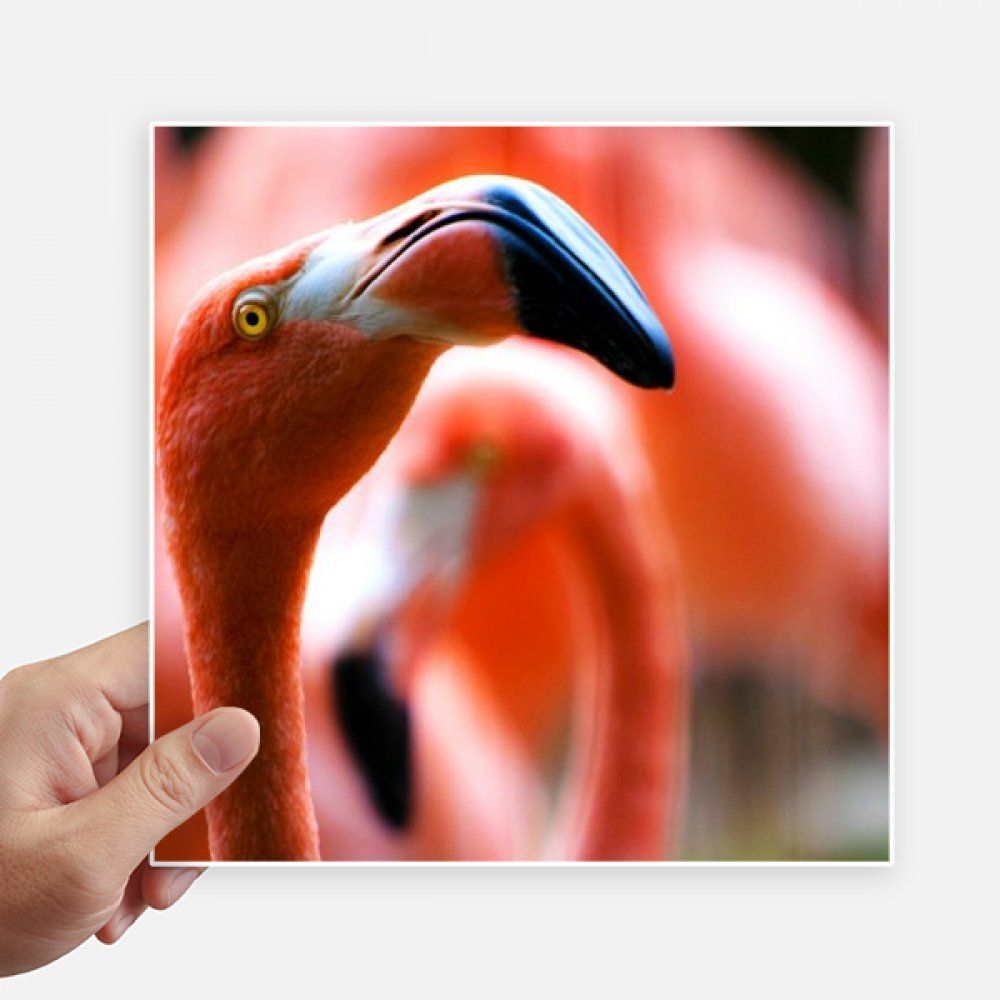 Autocollant carré Flamingo anti-rayures pour ordinateur portable et valise 20cm
