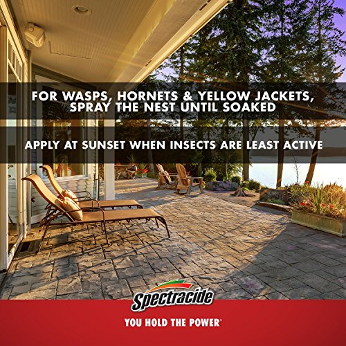 Spectracide Wasp & Hornet Killer, 20-Ounce, Pack Of 12 #TOP4