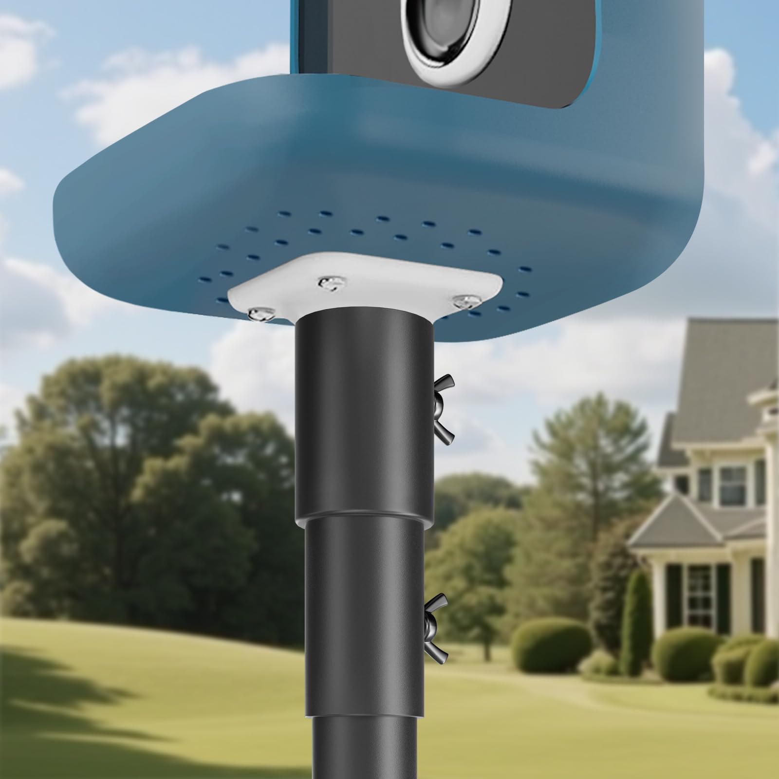 Does Bird Buddy Come With a Pole: Essential Setup Insights Revealed
