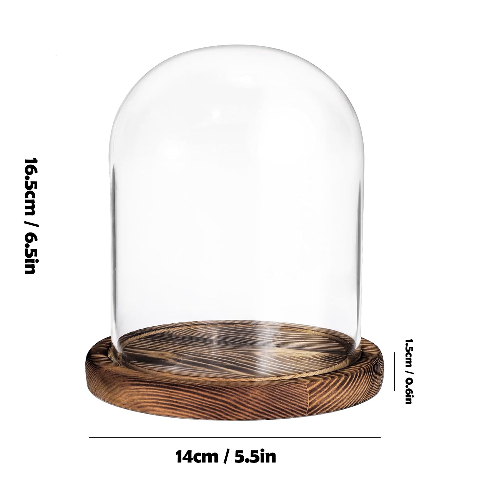 Campana Di Vetro Con Base Legno BELLE VOUS - 16,2cm, Per Esposizione Oggetti E Decorazioni - Foto 2