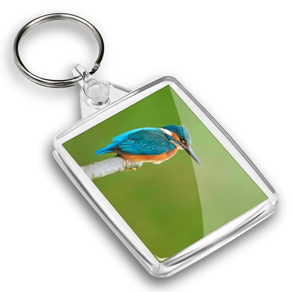 Destination Vinyl ltd 1 x Photo Keyring - Kingfisher Blue Small Bird |Keychain|Keyring|Charm| #45471