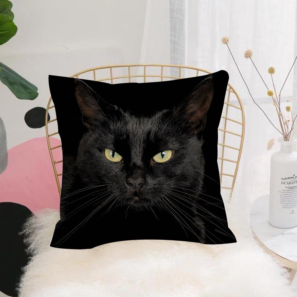 HYOSXW Cushion Cover,Throw Pillow Case Home Decorative for Living Room Bedroom Sofa Chair 16X16 Inch,Animal, black cat's green eyes staring at dark background,Pillowcase 40X40cm