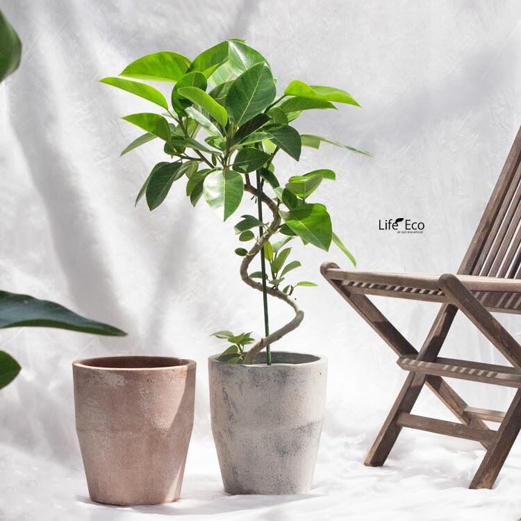 Amazon | 植木鉢 ファイバーセメント製 スクーロ トール アンティーク