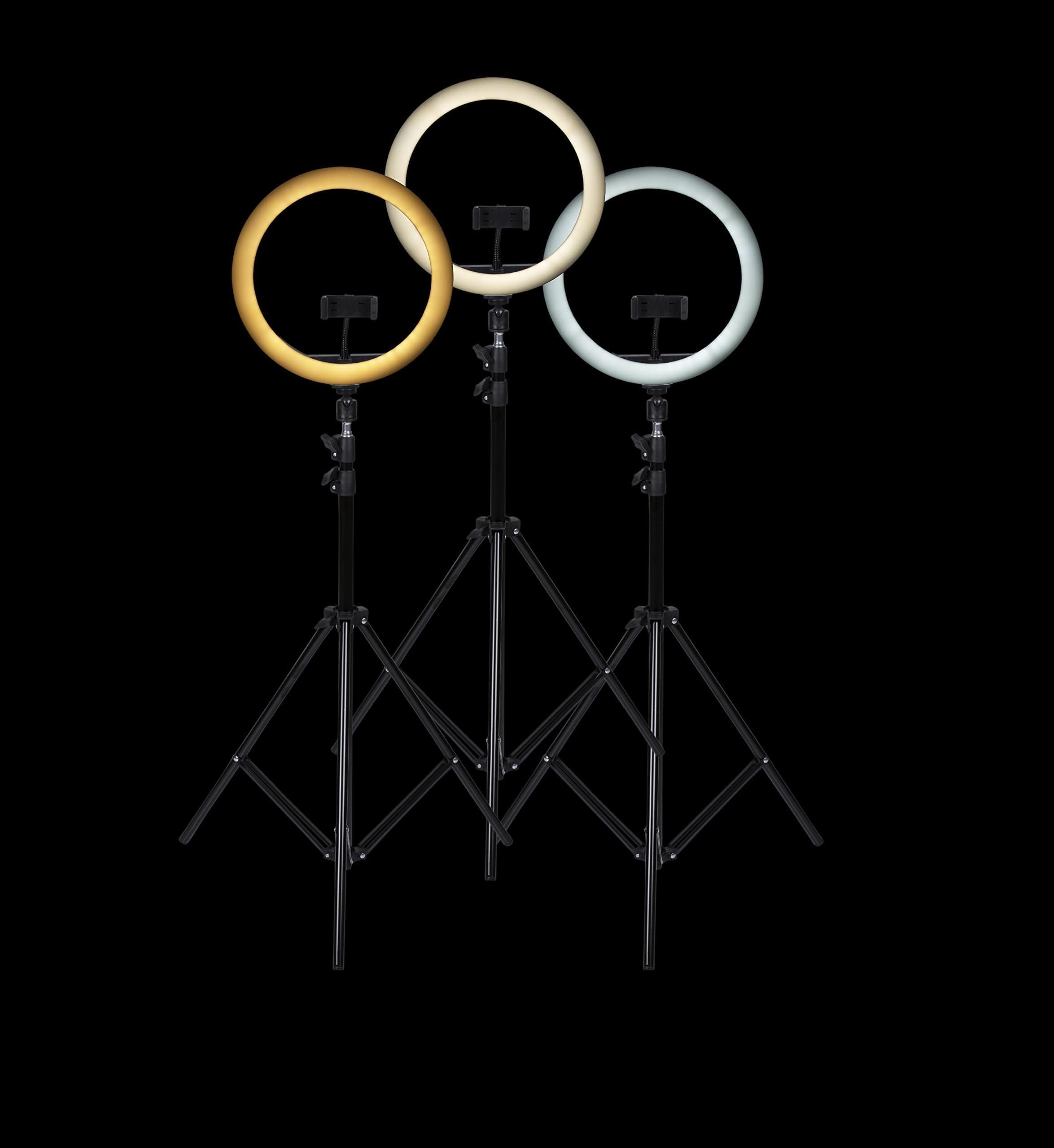 Grundig Ring Light Professional Con Treppiede Regolabile 195 cm - Luce LED Cerchio Per Video - Luce Selfie Con Supporto Telefono - Luce Foto TikTok - Luce Anello Per Selfie E Trucco Con 3 Impostazioni