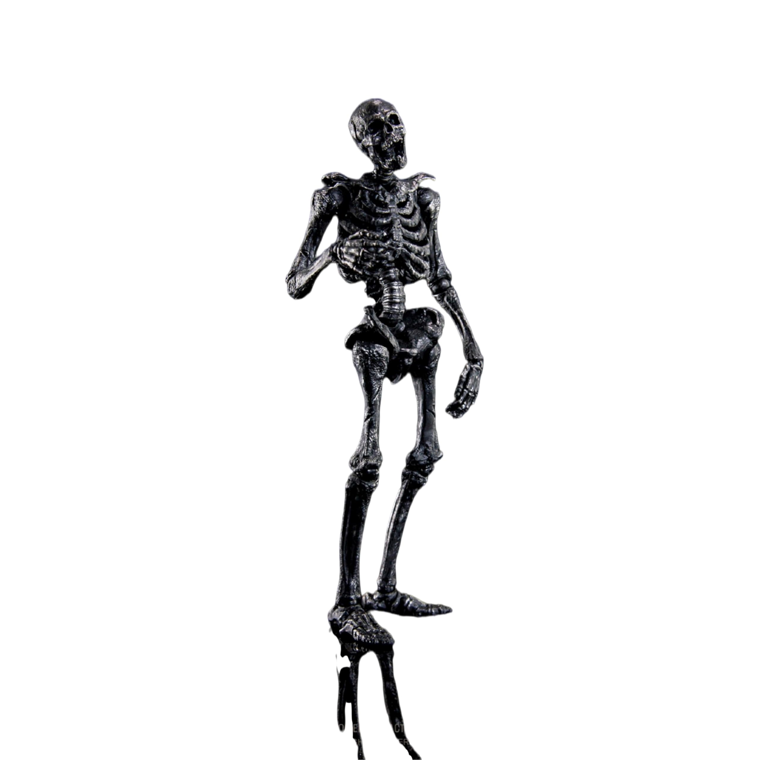 Amazon.co.jp: LEBOO 玩朝 1/12 生物の授業 ヒト骨格 スカル素体 黒色