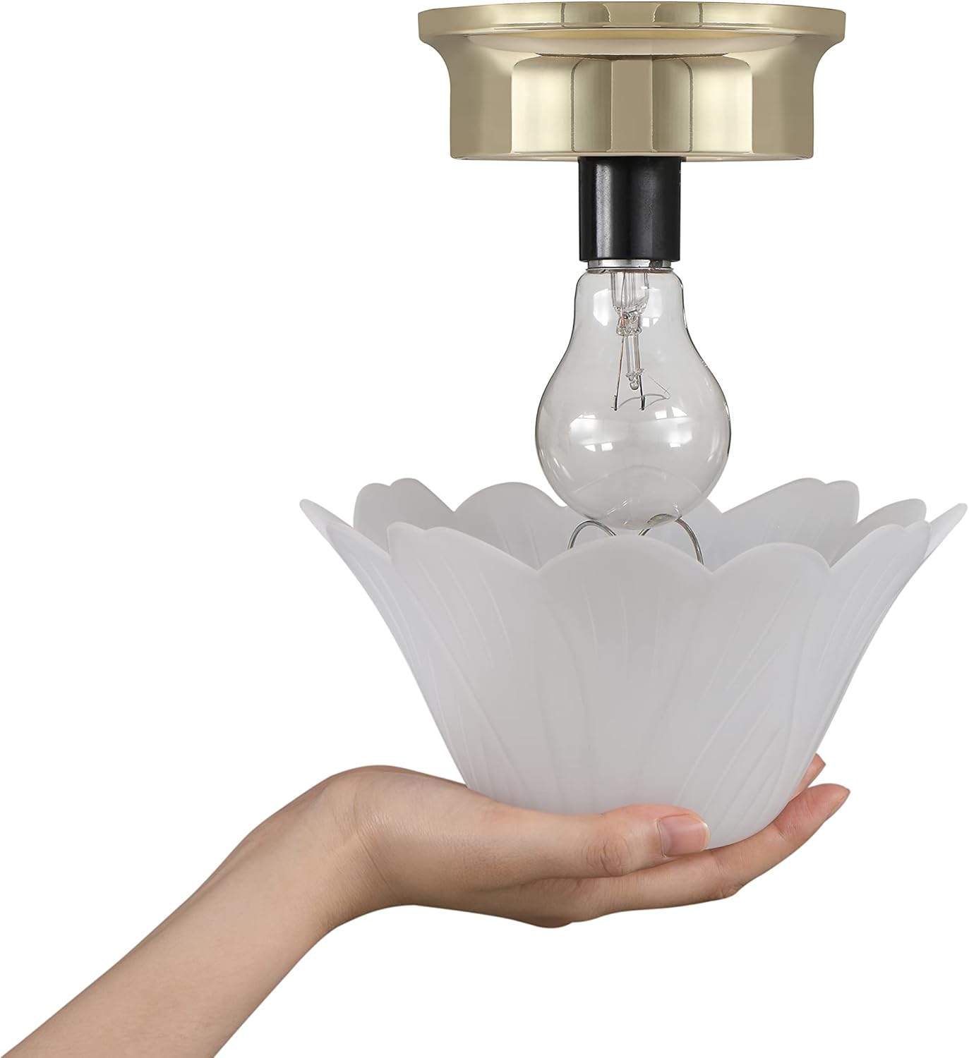 Aspen Creative 28003-15-2, Clip-on Tulip Shade in White Finish, 8" Diameter x 4" Height, 2 Pack