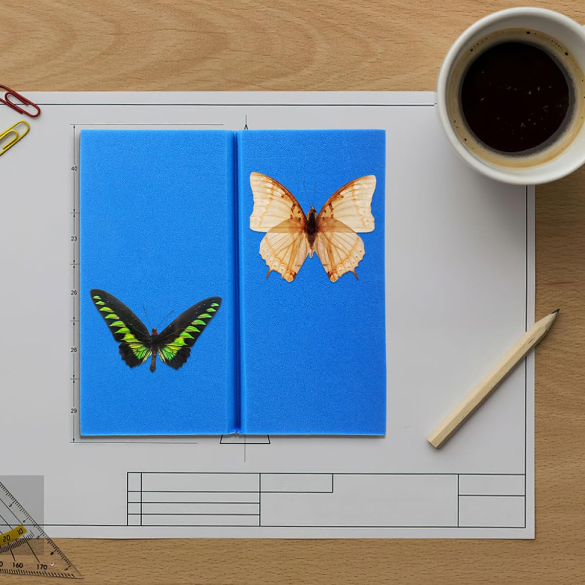 Eva Foam Insect Specimen Pinning Board 14x14x2cm High-Density Spreading Platform 2pcs for Butterfly Display and Entomology Collection