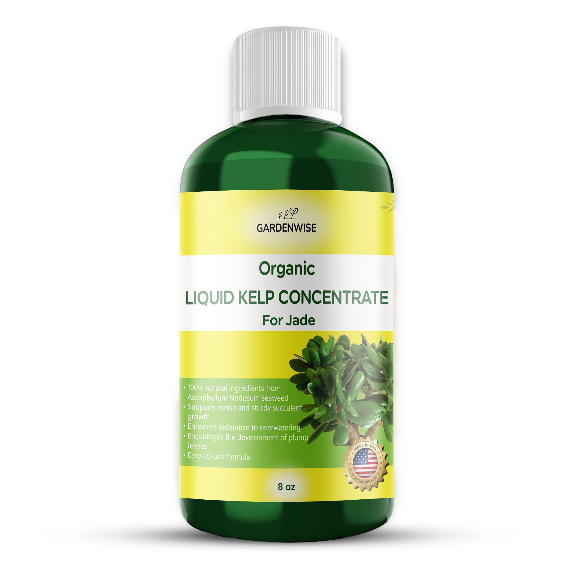 GARDENWISE Organic Premium Kelp Seaweed Concentrate for Jade Liquid