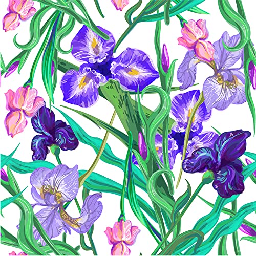 Papier peint fleurs iris 416x254 cm déco salon Coloray
