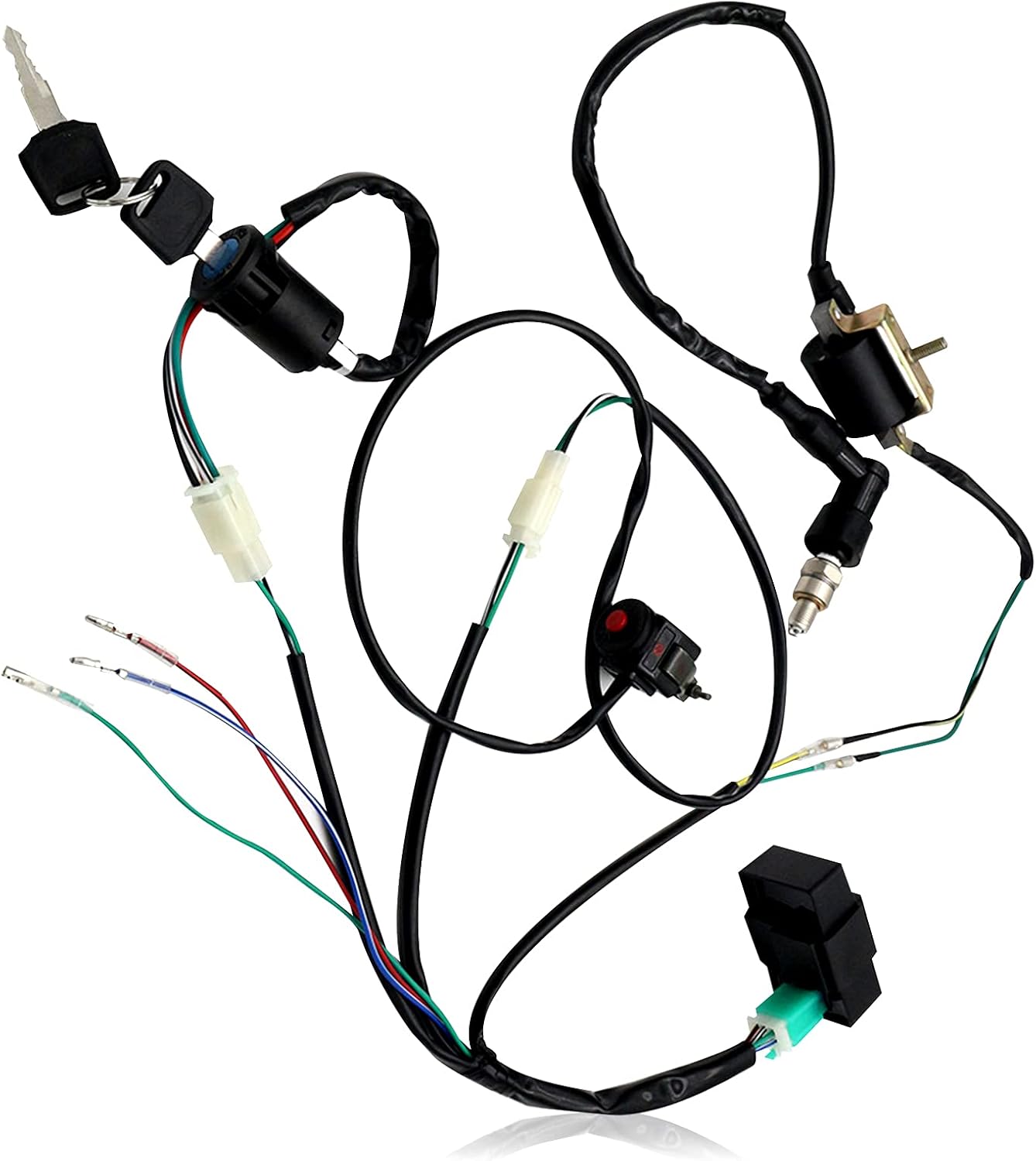 Carkio Full Kick Start Engine Wire Wiring Harness Loom Kit