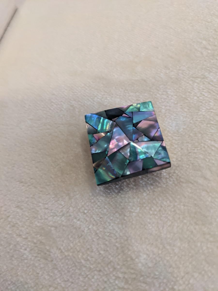 Amazon.co.jp: 清水誉史雄 作 螺鈿 漆 帯留め : ファッション 