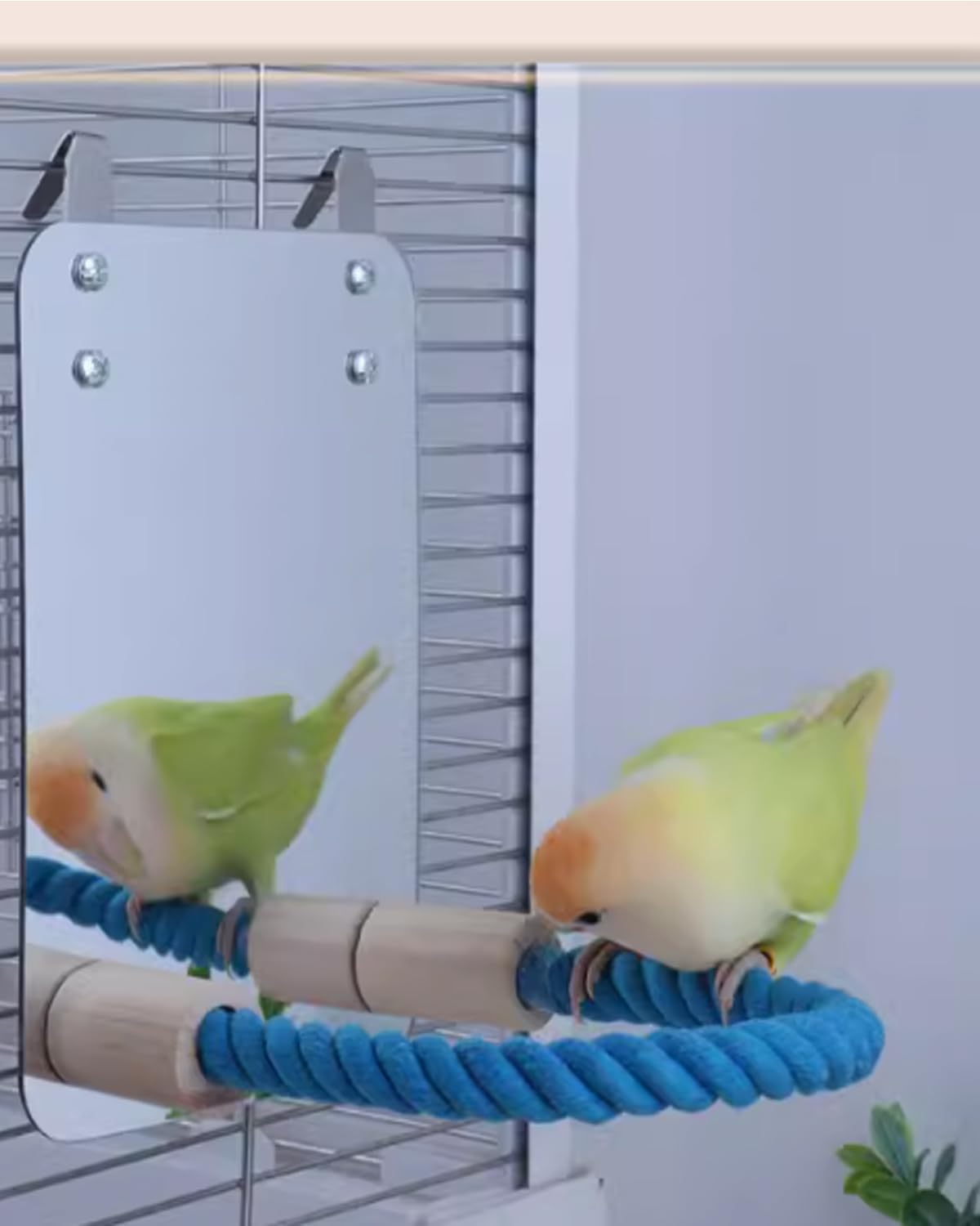 Pack De 10 Posaderos De Plástico Para Jaulas De Pájaros – Perchas Coloridas Para Periquitos, Canarios Y Pequeñas Aves