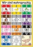  Multilinguales LernPOSTER \