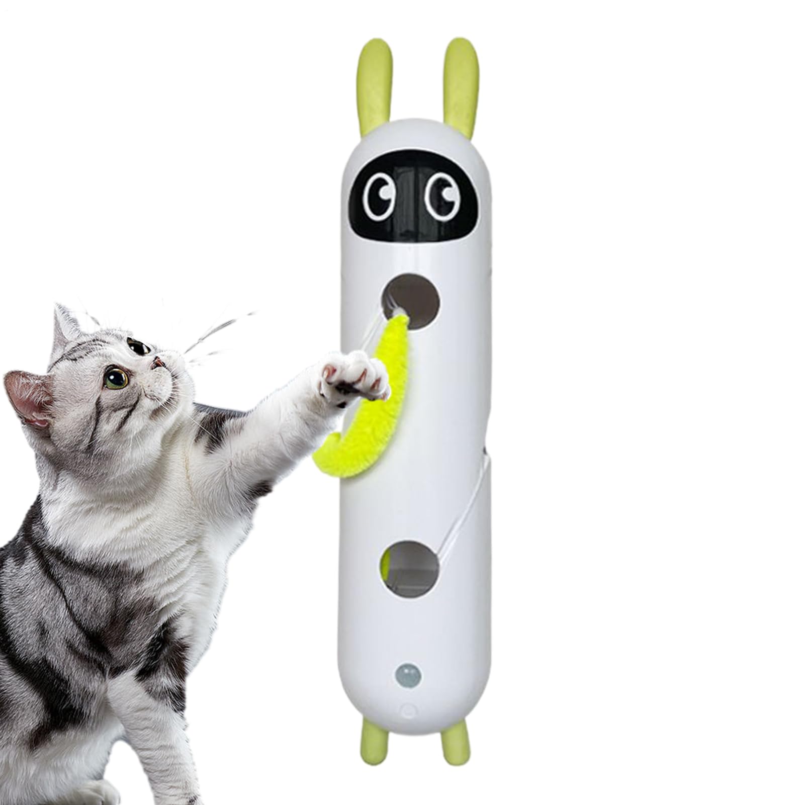 Jouet interactif pour chat et chaton rechargeable USB pour l'enrichissement
