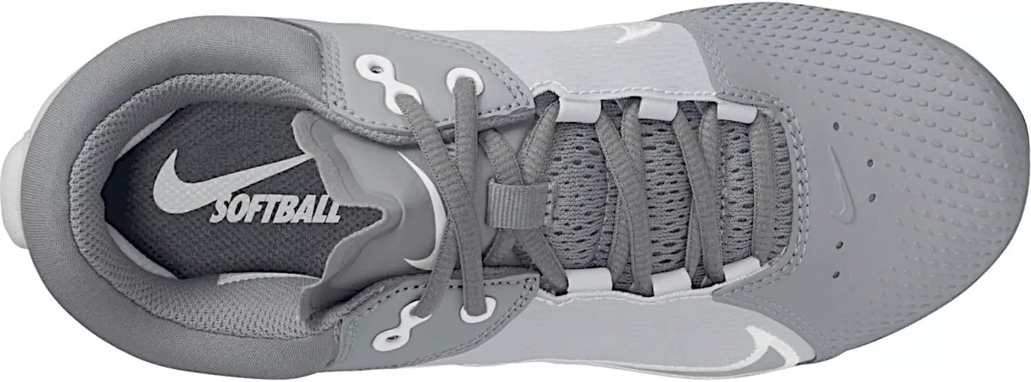 Nike Women's Hyperdiamond 4 Elite Softball Cleats (8, Wolf Grey/Cool Grey/Pure Platinum/White)