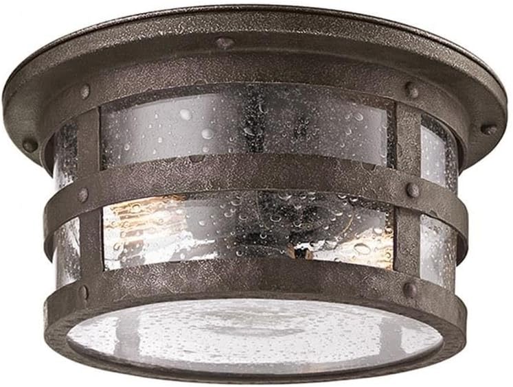 Troy Lighting Barbosa-2 Light Outdoor Flush Mount-15 Inches Wide by 7.63 Inches High