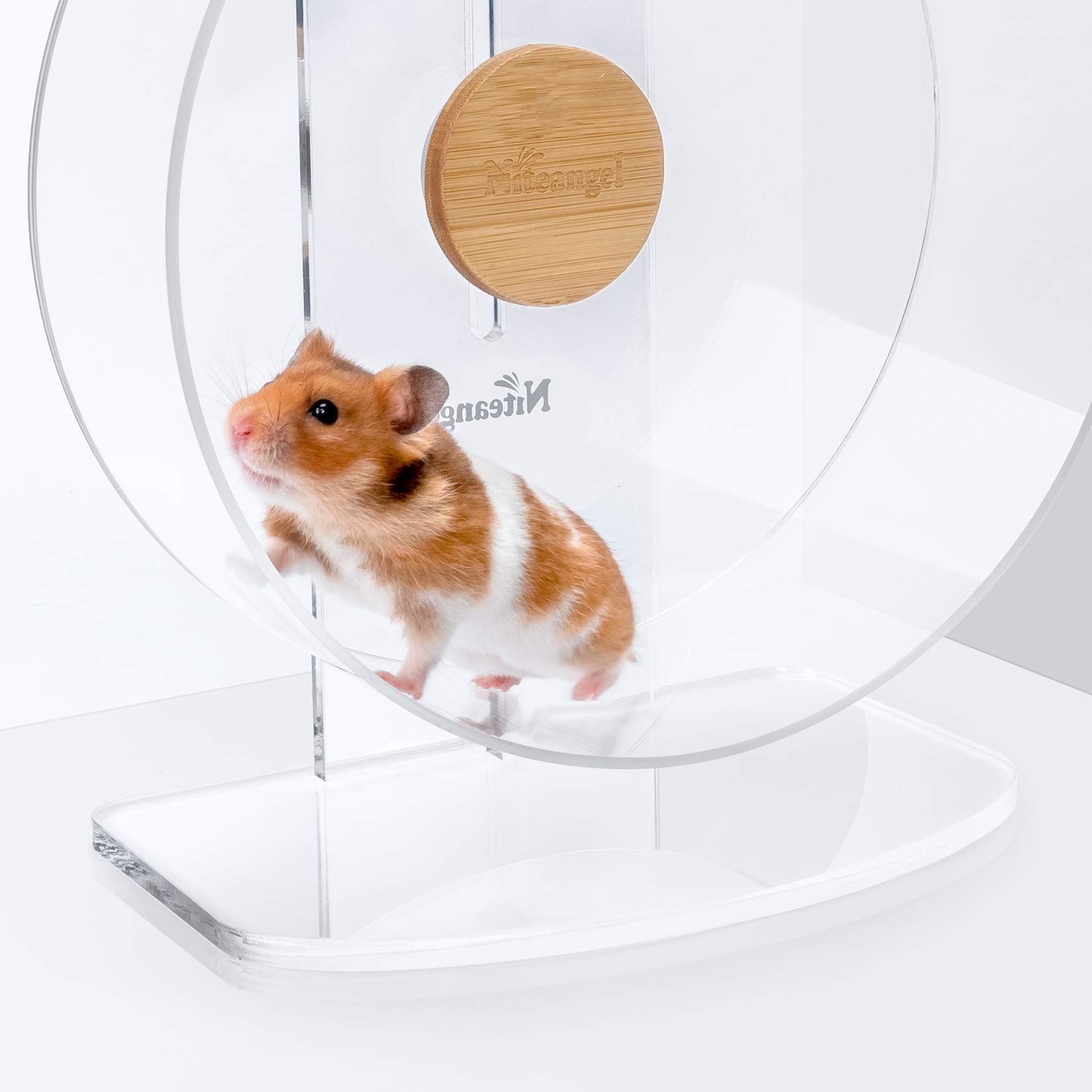 Niteangel Roue d'exercice silencieuse pour hamster - Roue de course en acrylique à double roulement silencieux pour hamsters, gerbilles, souris, degus ou autres petits animaux (S)