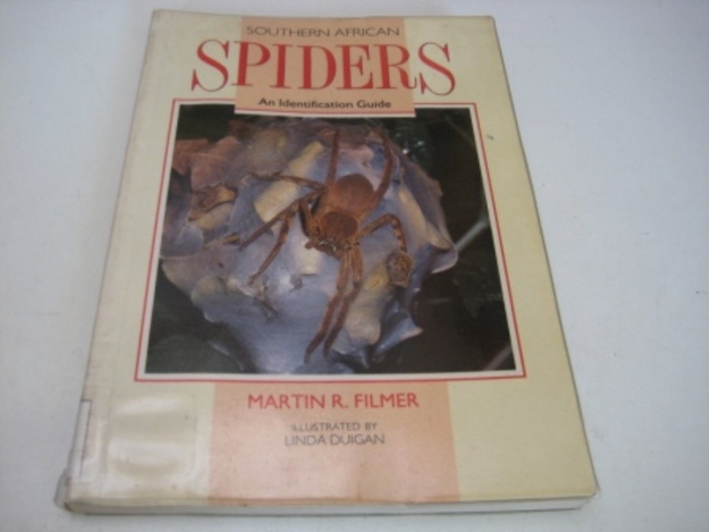 Buy South African Spiders: An Identification Guide — BookShops.in