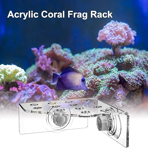 Miniatura 8 de MiOYOOW Coral Frag - Estante transparente para pecera, soporte de coral acrílico con doble ventosa para peceras de acuario (13 agujeros para