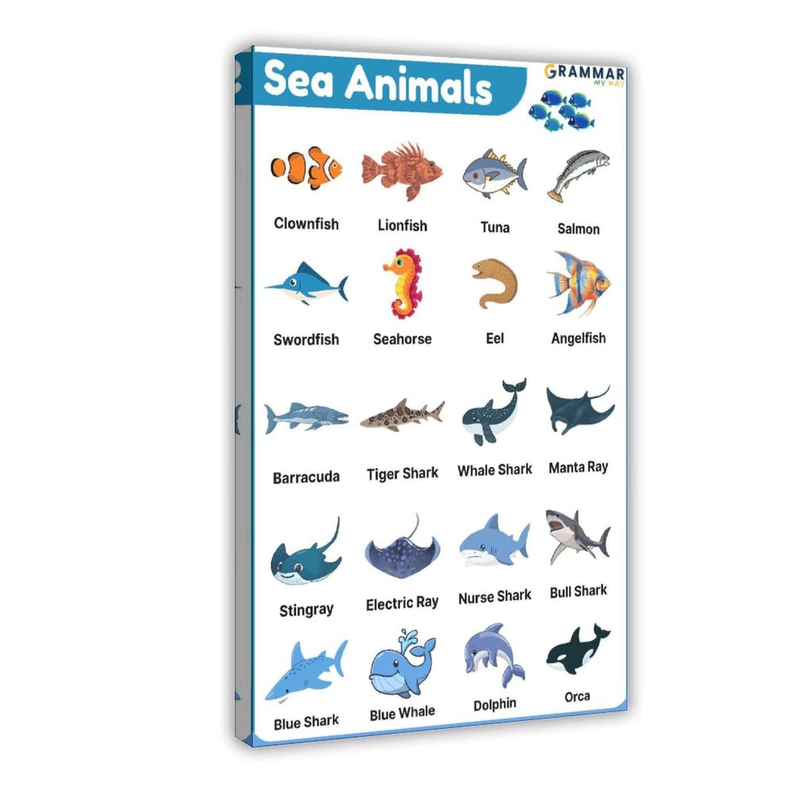 Lienzo decorativo para pared, diseño de Enciclopedia de animales marinos, 20 x 30 pulgadas (50 x 75 cm)