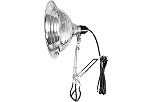 Premium Drop Light with 6 Feet Power Cord