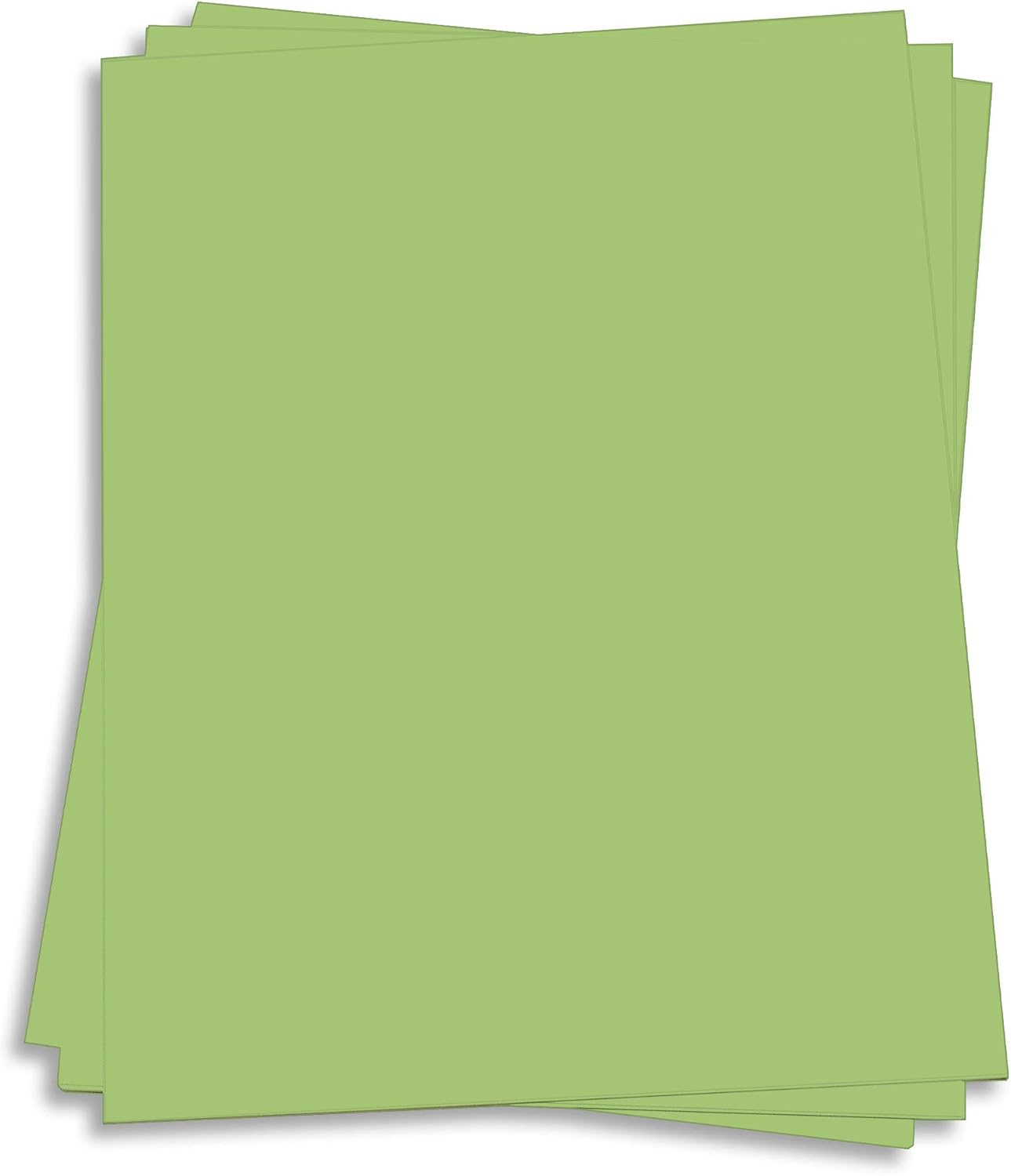 Olive Green Card Stock 8 1/2 x 14 Gmund Colors Matt