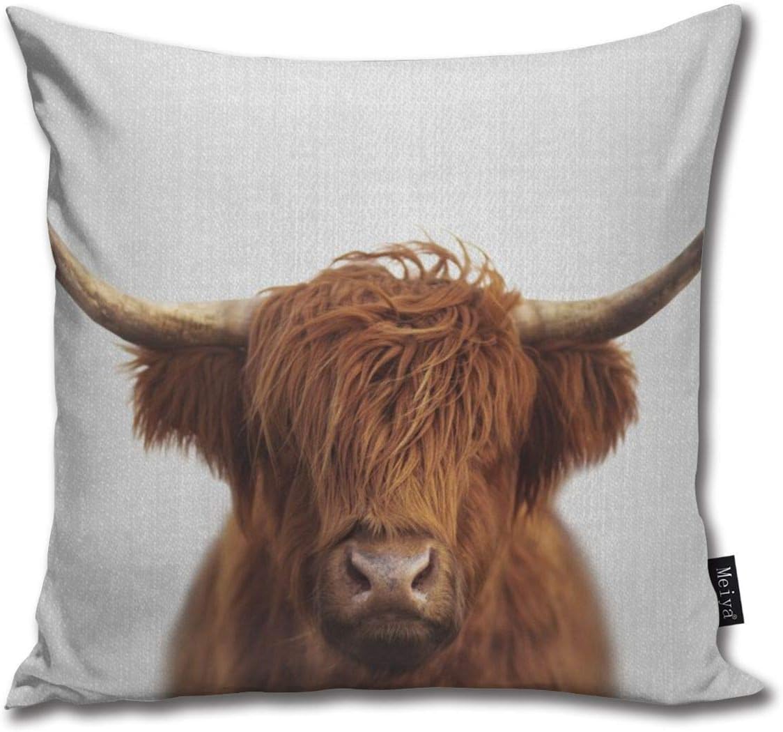 ZFENGYYUAN Highland cow colorful Home Decorative Throw Pillow Case Cushion Cover for Gift Home Couch Bed Car 18" x18"