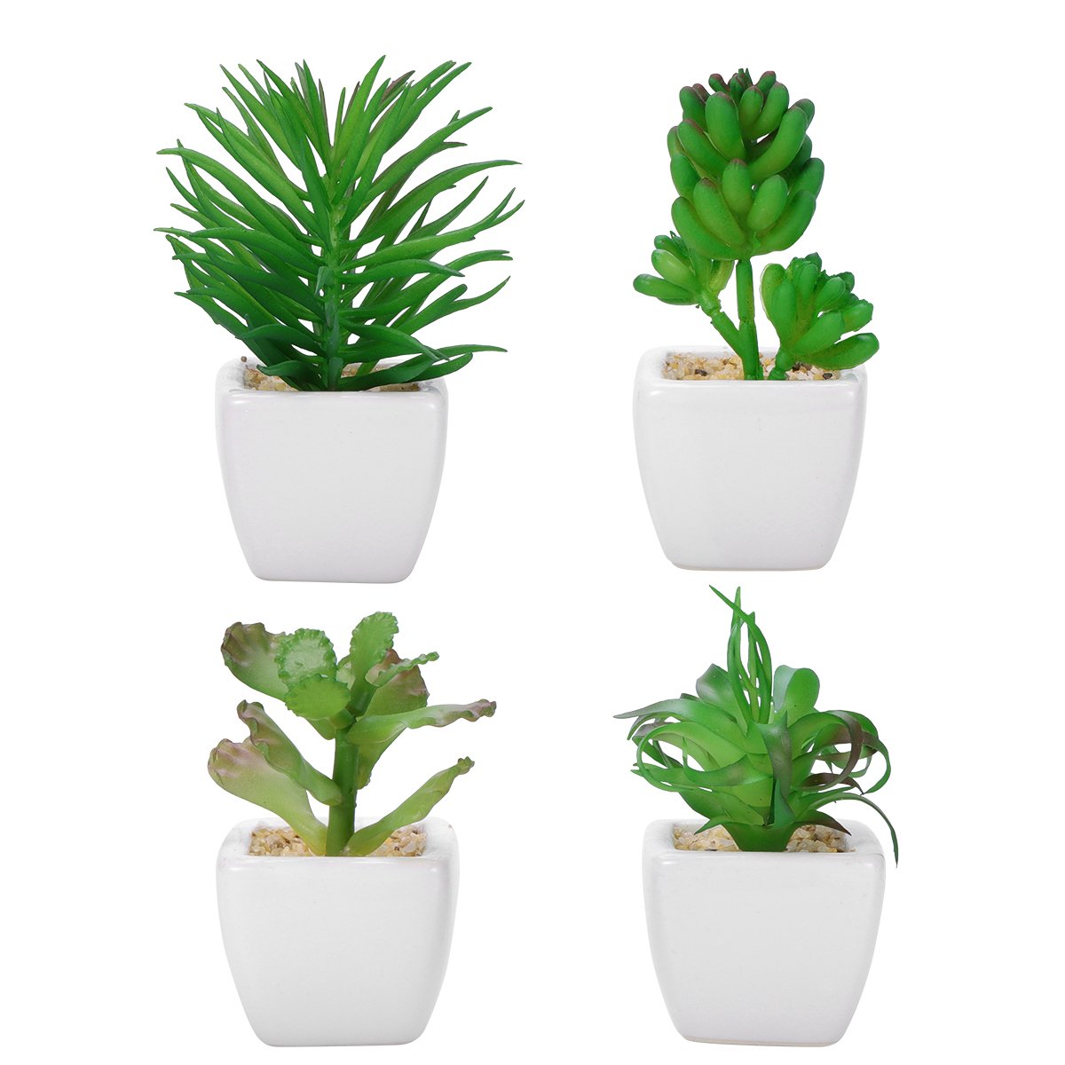 Winomo Lot de 4 plantes grasses artificielles avec pot en céramique blanche