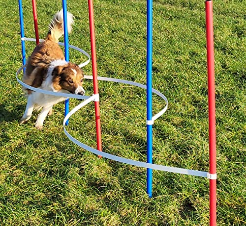 Wuzzmann Agility - Slalom - AUSBILDUNGSSET MIT 4 SLALOMBÖGEN/TRAININGSBÖGEN + 6 SLALOMSTANGEN ROT/BLAU