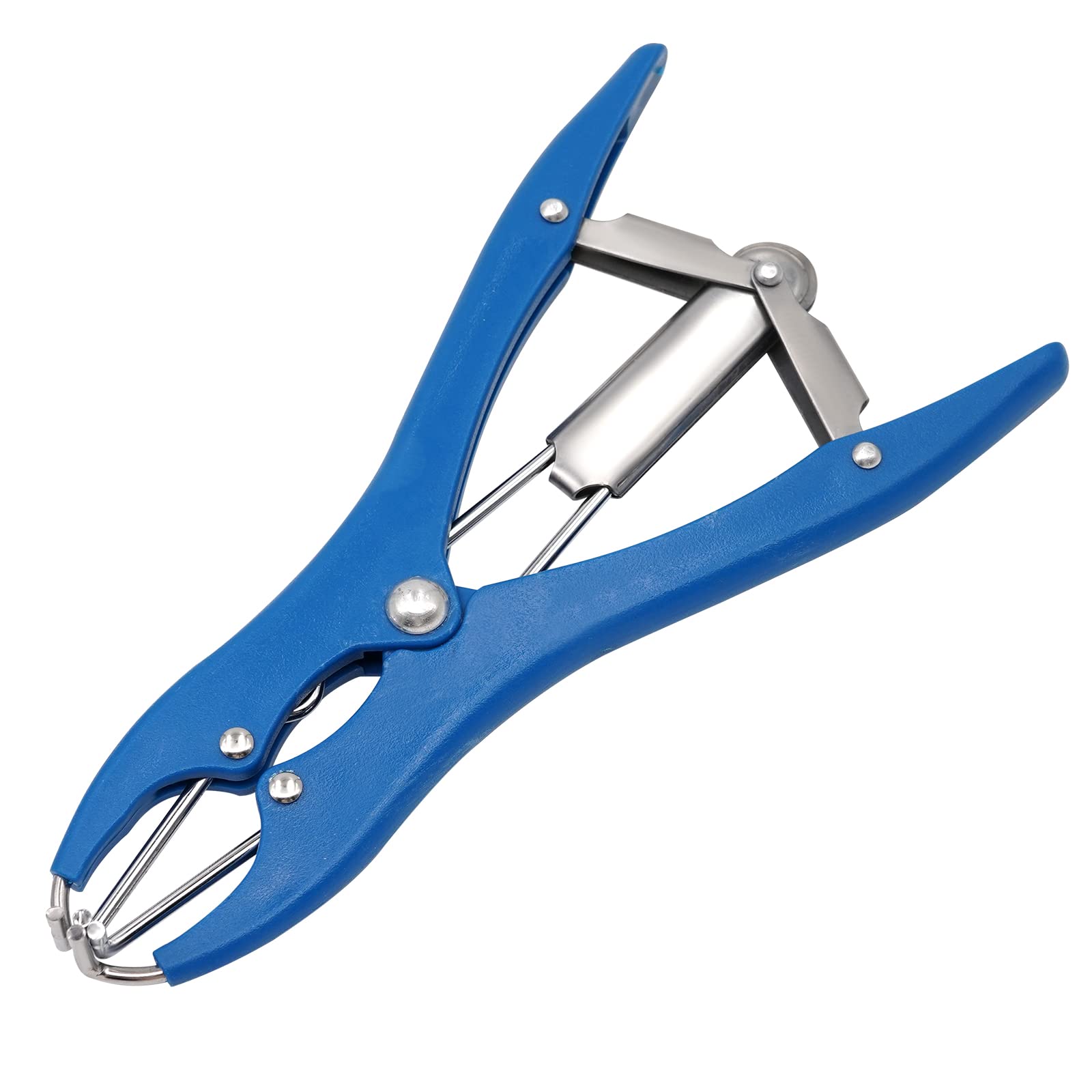 Pinza per Castrazione di Maiale Blu Offset per Pecora Bovini Pecore per Suini Attrezzatura per l'allevamento (1 Pinza e 100 Anelli)