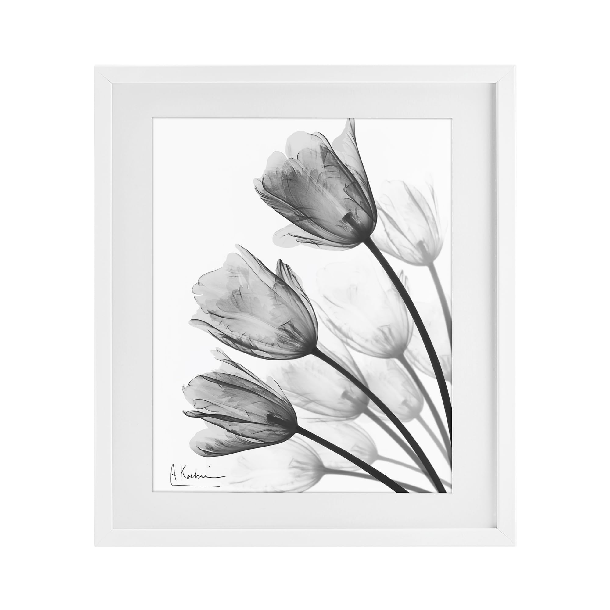 Stupell Industries Coastal White (Textured) Minimalist Tulip Fan Botanical, 17 X 21 Inch Framed Print Under Glass
