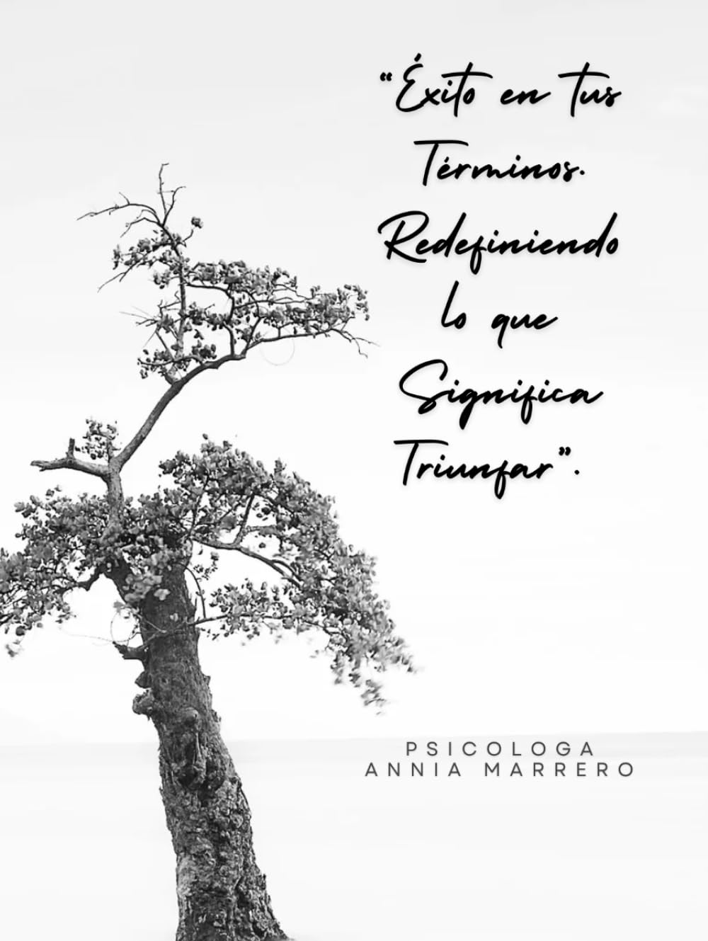 “Éxito en tus Términos. Redefiniendo lo que Significa Triunfar”.: "Descubre tu Propio Camino hacia la Realización Personal y Profesional" (Spanish Edition)      Hardcover – Large Print, January 23, 2025