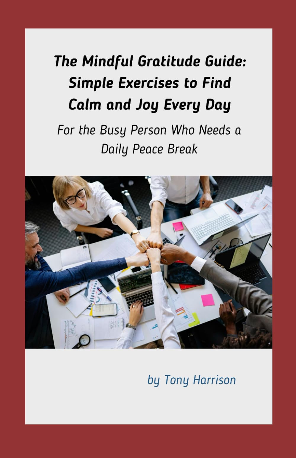 The Mindful Gratitude Guide: Simple Exercises to Find Calm and Joy Every Day: For the Busy Person Who Needs a Daily Peace Break