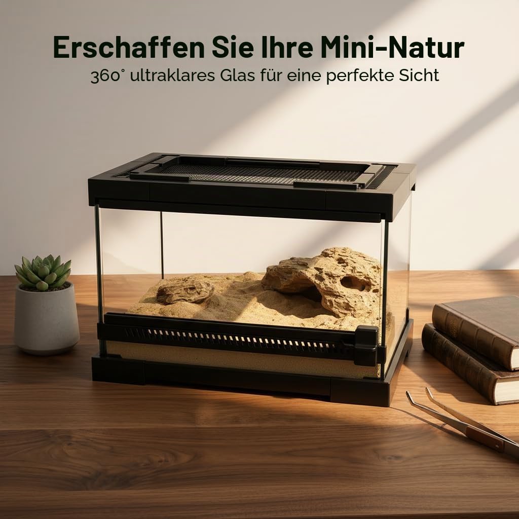 Glas Terrarium Reptilien Fütterungsbox Transparent Transport Box für Schnecken Spinnen Gecko Hamster Schlangen Schildkröten, 30 x 20 x 17 cm