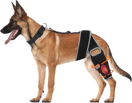 Rodillera para perro para pierna trasera desgarrada, soporte de pierna de perro para osteoartritis, lesiones de ligamento cruzado o recuperación disponible en Yaxa Colombia