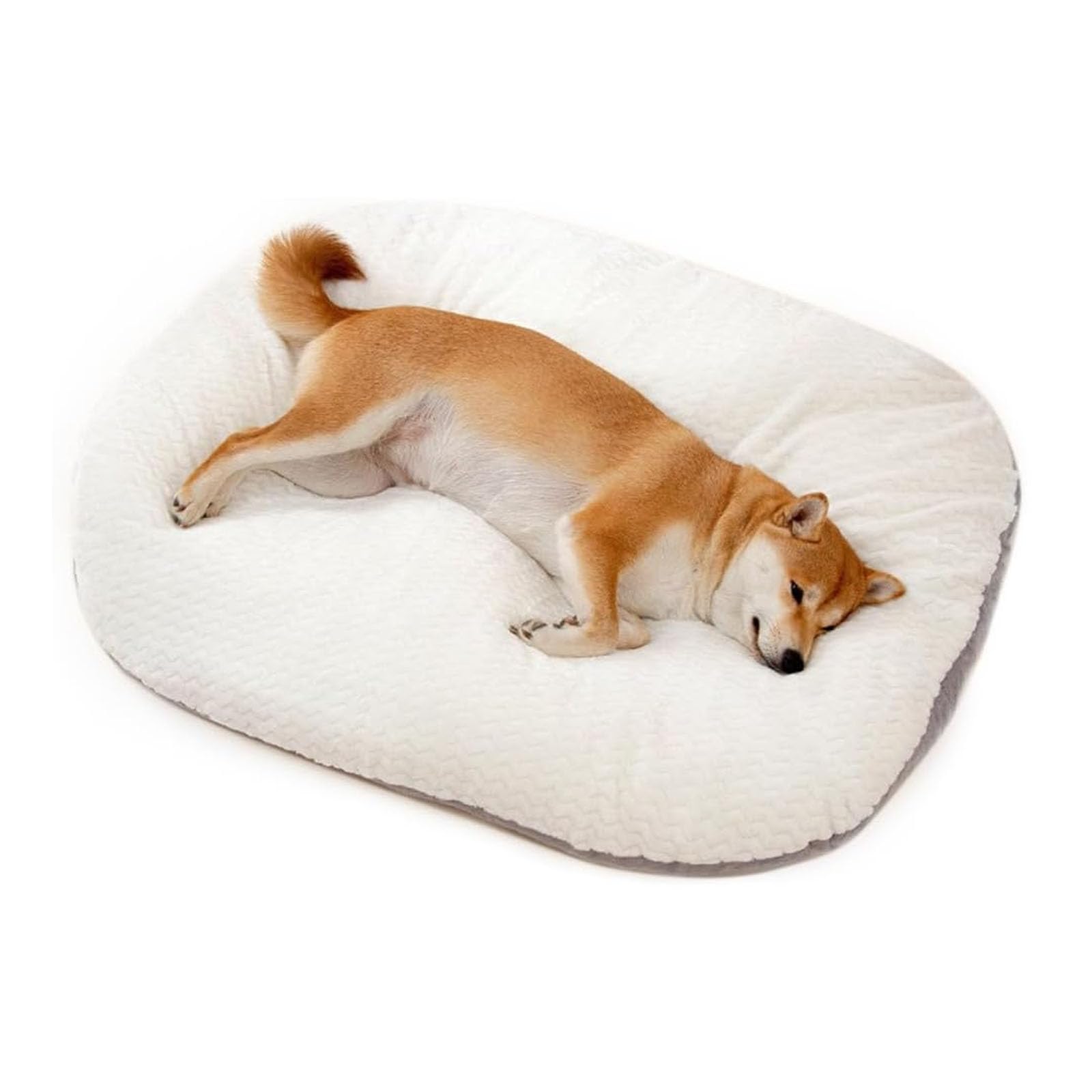 Cuccia Ortopedica in Schiuma Per Cani Da Utilizzare Nella Gabbia, Cuccia Ovale in Memory Foam Per Cani, Letti Per Cani Con Fodere Lavabili, Cuscino Per Gabbia Con Fodera Con Cerniera,Bianca,M