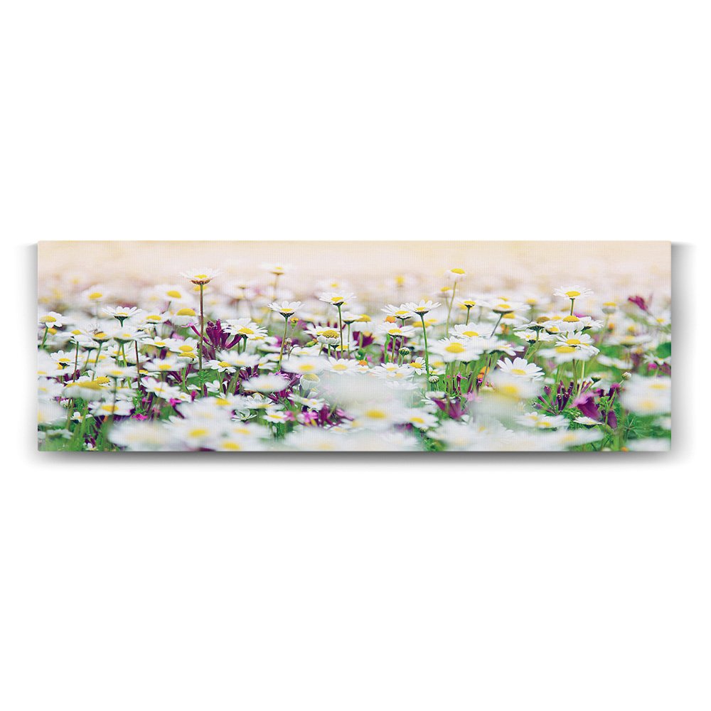 tabloshop Papatya Tarlası Panorama Tablo - 120x40cm