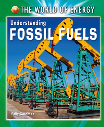 Understanding Fossil Fuels (The World of Energy)