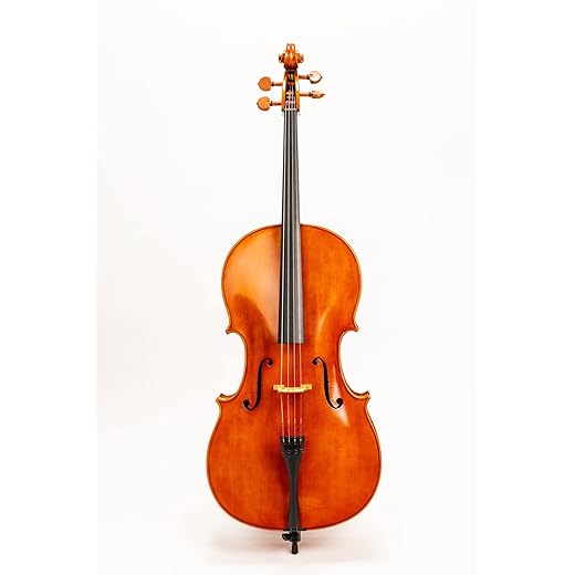 D Z strad Cello Model 250 Handmade Handmade by prize winning luthier Full Size (4/4 - Full Size)