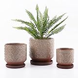 Fengson Large Ceramic Planters with Saucer,Set of 3 Plant Pots for Indoor/Outdoor Plants,8+6+5 inch