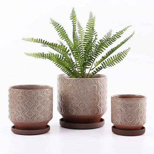 Fengson Large Ceramic Planters With Saucer,Set Of 3 Plant Pots For Indoor/Outdoor Plants,8+6+5 Inch Flower Pots With Drainage Holes,Small To Large Size Cylinder Planters Pot For Plants(Light Grey) #TOP16