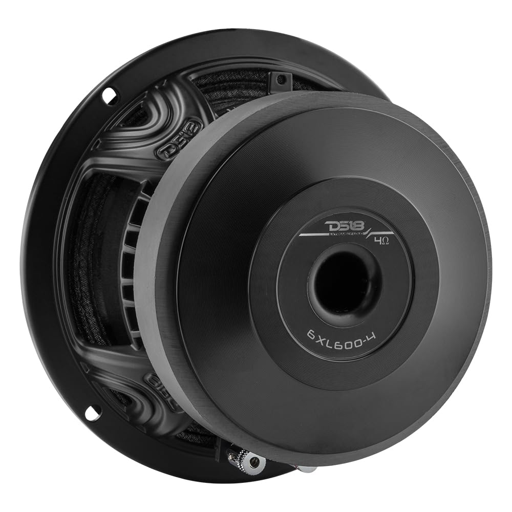 Amazon.com: DS18 6XL600-4 Pair 6.5
